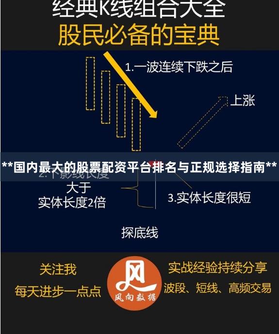 **国内最大的股票配资平台排名与正规选择指南**